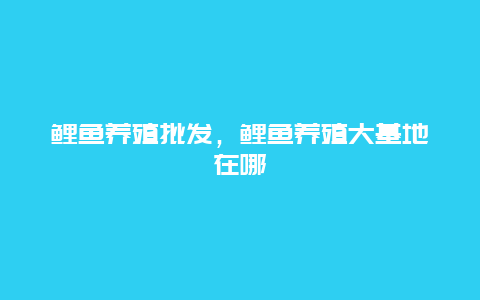 鲤鱼养殖批发，鲤鱼养殖大基地在哪