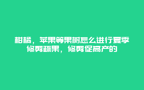 柑橘，苹果等果树怎么进行夏季修剪疏果，修剪促高产的