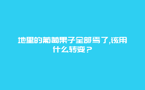 地里的葡萄果子全部焉了,该用什么转变？