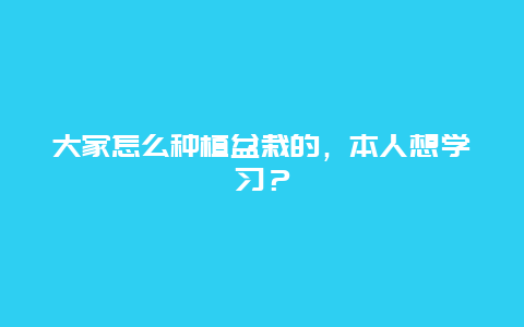 大家怎么种植盆栽的，本人想学习？