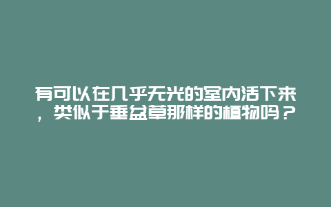 有可以在几乎无光的室内活下来，类似于垂盆草那样的植物吗？