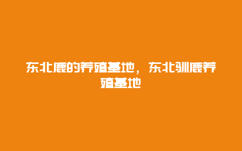 东北鹿的养殖基地，东北驯鹿养殖基地