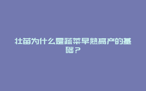 壮苗为什么是蔬菜早熟高产的基础？