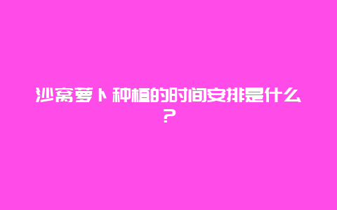 沙窝萝卜种植的时间安排是什么？