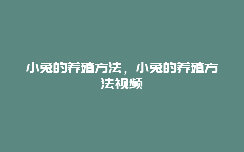 小兔的养殖方法，小兔的养殖方法视频