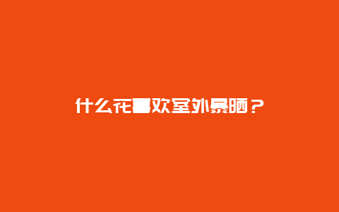 什么花喜欢室外暴晒？