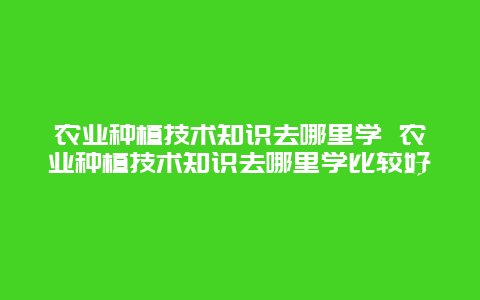 农业种植技术知识去哪里学 农业种植技术知识去哪里学比较好