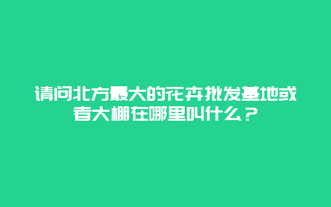 请问北方最大的花卉批发基地或者大棚在哪里叫什么？