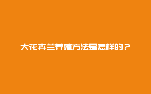 大花卉兰养殖方法是怎样的？