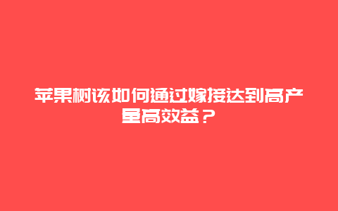 苹果树该如何通过嫁接达到高产量高效益？