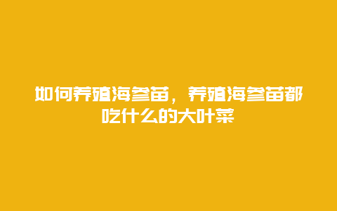 如何养殖海参苗，养殖海参苗都吃什么的大叶菜