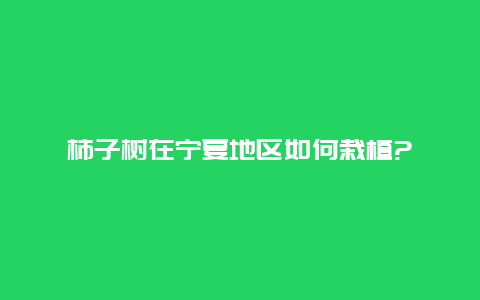 柿子树在宁夏地区如何栽植?