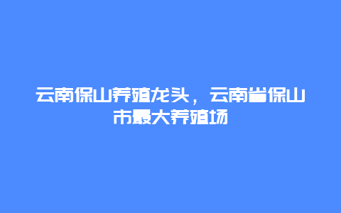 云南保山养殖龙头，云南省保山市最大养殖场