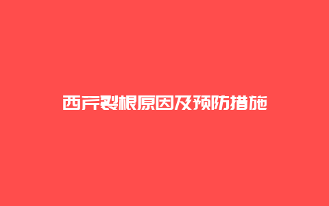 西芹裂根原因及预防措施