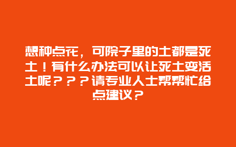 想种点花，可院子里的土都是死土！有什么办法可以让死土变活土呢？？？请专业人士帮帮忙给点建议？