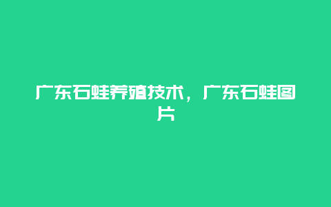 广东石蛙养殖技术，广东石蛙图片