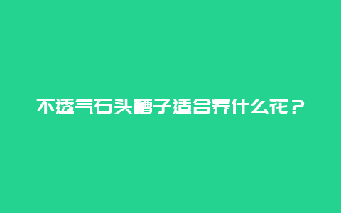 不透气石头槽子适合养什么花？