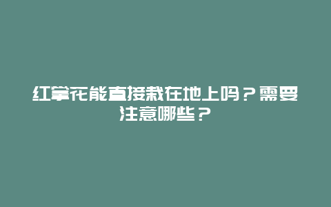 红掌花能直接栽在地上吗？需要注意哪些？