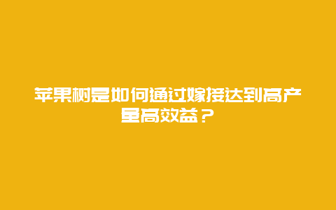 苹果树是如何通过嫁接达到高产量高效益？