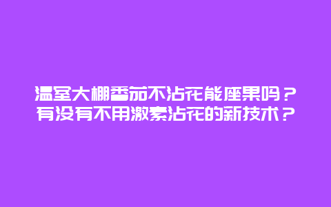 温室大棚番茄不沾花能座果吗？有没有不用激素沾花的新技术？