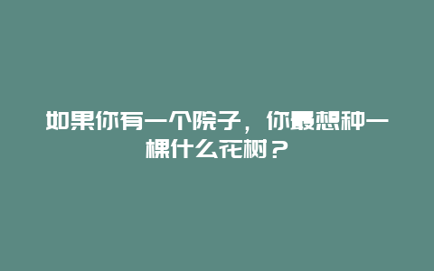 如果你有一个院子，你最想种一棵什么花树？