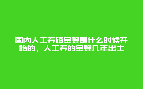 国内人工养殖金蝉是什么时候开始的，人工养的金蝉几年出土