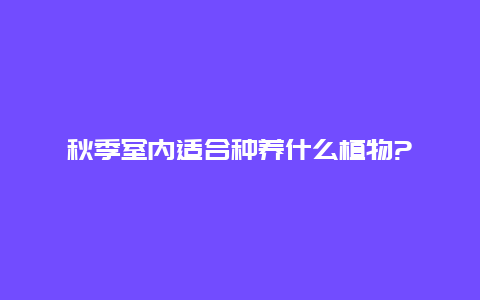 秋季室内适合种养什么植物?