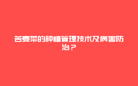 苦麦菜的种植管理技术及病害防治？