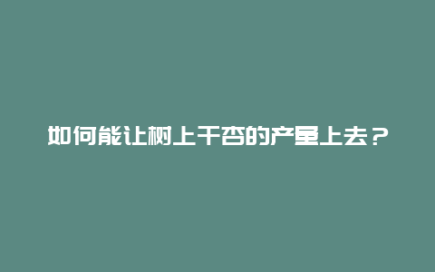 如何能让树上干杏的产量上去？