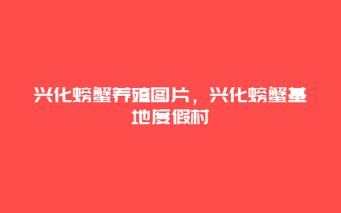 兴化螃蟹养殖图片，兴化螃蟹基地度假村