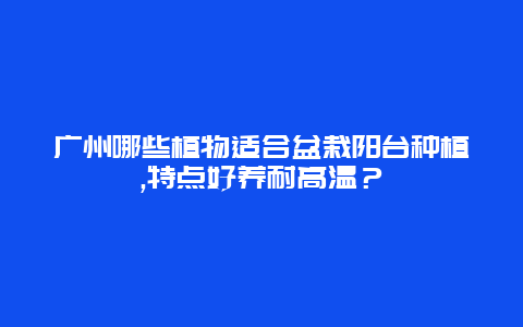 广州哪些植物适合盆栽阳台种植,特点好养耐高温？