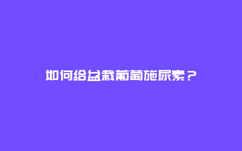 如何给盆栽葡萄施尿素？