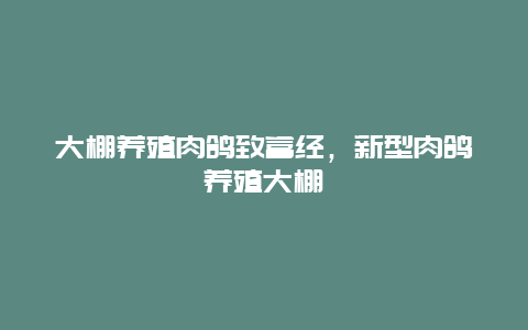 大棚养殖肉鸽致富经，新型肉鸽养殖大棚