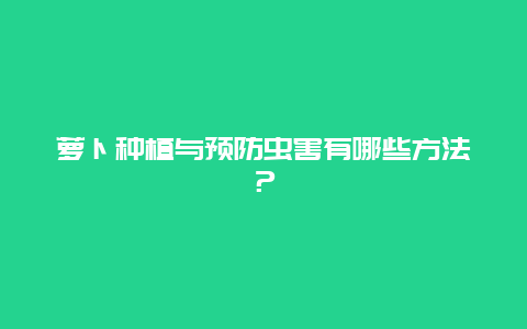 萝卜种植与预防虫害有哪些方法？