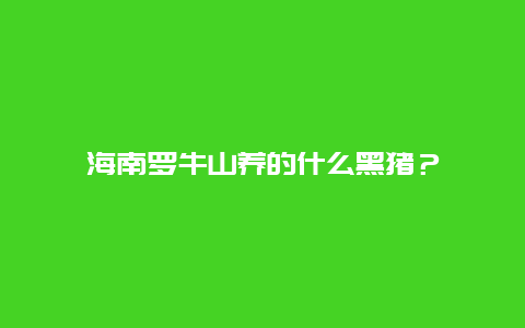 海南罗牛山养的什么黑猪？