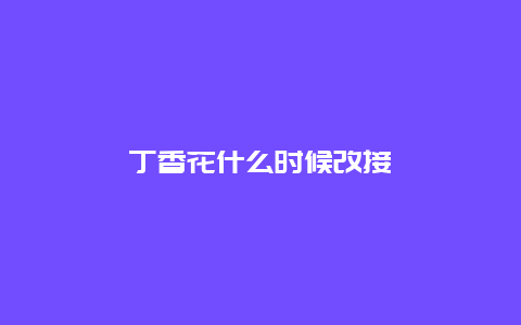 丁香花什么时候改接