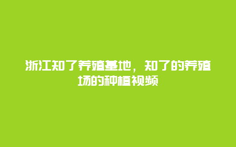 浙江知了养殖基地，知了的养殖场的种植视频