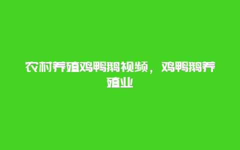 农村养殖鸡鸭鹅视频，鸡鸭鹅养殖业