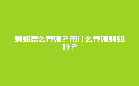 蝇蛆怎么养殖？用什么养殖蝇蛆好？