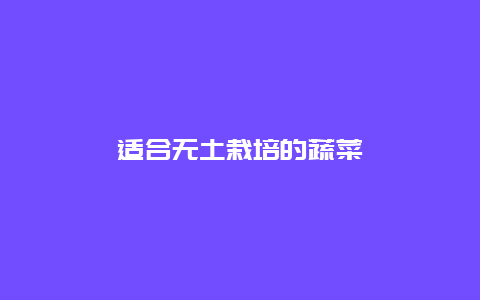 适合无土栽培的蔬菜