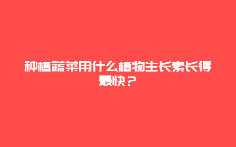 种植蔬菜用什么植物生长素长得最快？