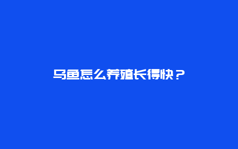 乌鱼怎么养殖长得快？