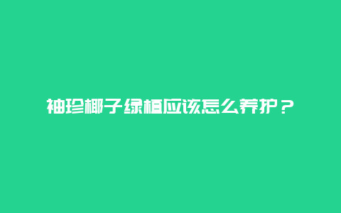 袖珍椰子绿植应该怎么养护？