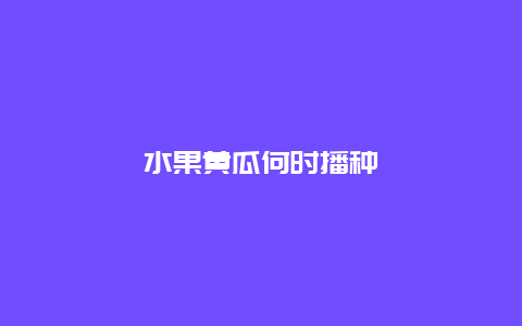 水果黄瓜何时播种