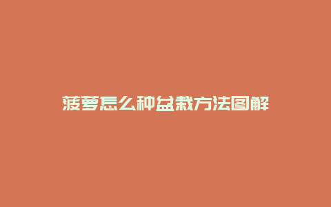 菠萝怎么种盆栽方法图解