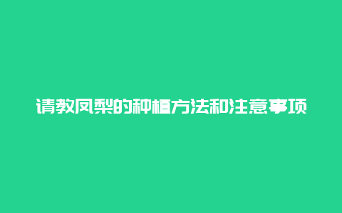 请教凤梨的种植方法和注意事项