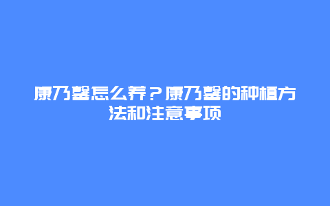 康乃馨怎么养？康乃馨的种植方法和注意事项