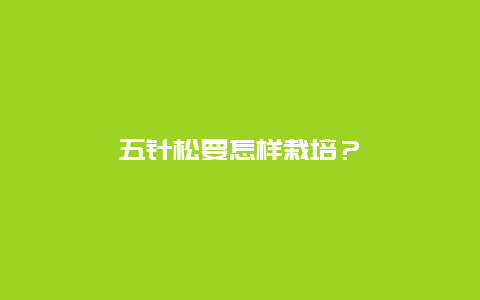 五针松要怎样栽培？