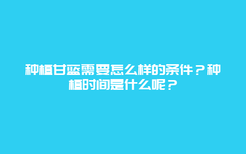 种植甘蓝需要怎么样的条件？种植时间是什么呢？