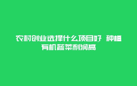 农村创业选择什么项目好 种植有机蔬菜利润高